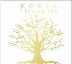 Kokie放縱微霧唇釉_824熱紅酒【康是美】 歷史價格詳細信息