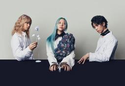 s h u c h e n g直髮棒 歷史價格詳細信息