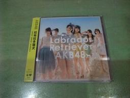 AKB48 拉布拉多獵犬  LABRADOR RETRIEVER 歷史價格詳細信息