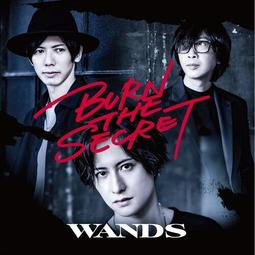 WANDS 時の扉 1993年 CD專輯 二手 A43 歷史價格詳細信息