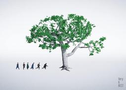 (代訂)4988064968763 kalafina KEIKO 2nd 專輯「dew」DVD盤 歷史價格詳細信息