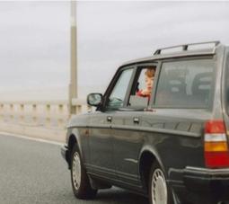 ◎日本販賣通◎(代購)文豪與鍊金術師 朗讀CD 第10彈 川端康成  通常盤 CV.關智一 歷史價格詳細信息