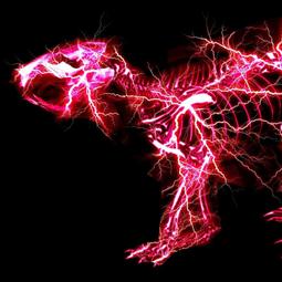 ◎日本販賣通◎(代購)電影 蠟筆小新:幽靈忍者珍風傳 主題歌「陽はまた昇るから」/綠黃色社會 蠟筆小新盤 歷史價格詳細信息