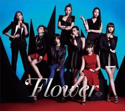 FLOWER DVD-R 16X 100片裝 歷史價格詳細信息