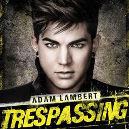 Adam Lambert 亞當藍伯特 For Your Entertainment 頭條娛樂 日版 專輯 歷史價格詳細信息