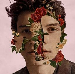 Shawn Mendes / SHAWN 尚恩曼德斯 尚恩CD 環球音樂 進口正版全新113/11/15發行 歷史價格詳細信息