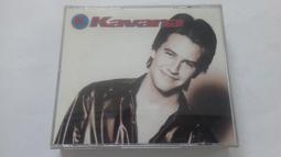 天生一對 調味罐 椒鹽罐 香辛料罐 台灣製 歷史價格詳細信息