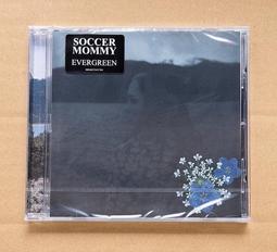 德國進口老掛鐘報時純銅機械6音簧8天實木上弦西洋古董鐘歐式客廳 歷史價格詳細信息