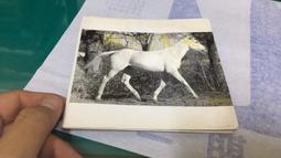 HINOTER 華人世界第一本免費次文化音樂雜誌 映像集 雙月刊 2005.1-2 2004年度電音舞國大選 附CD 歷史價格詳細信息