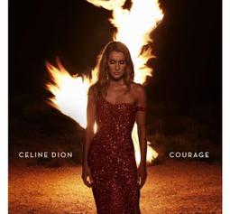 合友唱片   流氓警察 + 軍官與紳士 Internal Affairs + An Officer 歷史價格詳細信息