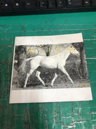 HINOTER 華人世界第一本免費次文化音樂雜誌 映像集 雙月刊 2005.1-2 2004年度電音舞國大選 附CD 歷史價格詳細信息