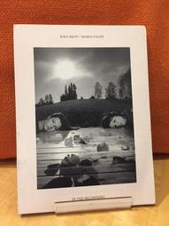 The Fault in Our Stars《生命中的美好缺憾》電影原著 英文小說 歷史價格詳細信息
