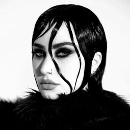 ( 全新 ) 大同 6.10.11人份 3線式 電熱片 加熱片 加熱器 電鍋零件 歷史價格詳細信息