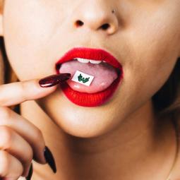 Wilton 12格寬柄不沾迷你馬芬蛋糕烤模 歷史價格詳細信息