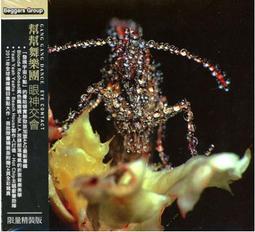 Gang Of Youths 熱血青春幫 / 青春到位CD，澳洲獨立搖滾樂團出道首張大碟  正版全新進口版 歷史價格詳細信息