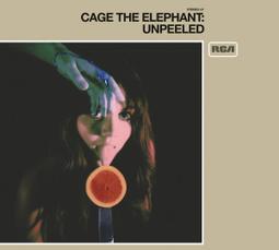 Cage the Elephant 2012 Marquee Phoenix AZ Ticket Used Stub 歷史價格詳細信息