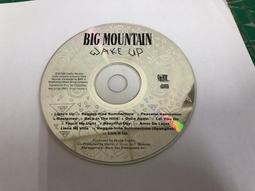 二手CD Big Joe  CD專輯 Z194 歷史價格詳細信息