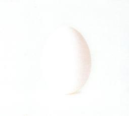 A Ghost in the Castle (Kingdom of Wrenly)【禮筑外文書店】[75折] 歷史價格詳細信息