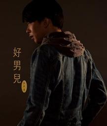 2016台達電子工業股份有限公司-產業清潔生產中衛體系輔導成果專輯(附光碟) 歷史價格詳細信息