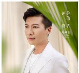 戀香 台灣廠製超柔彈性透氣雙層布乳膠枕 透氣枕 工學枕 歷史價格詳細信息