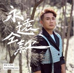 永正PET汽車改色膜亮水晶系列漆面保護膜全車貼PET淨空粉摩根石紅 歷史價格詳細信息