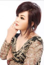 合友唱片 兒子的完美告別 Shavua Ve Yom DVD 歷史價格詳細信息