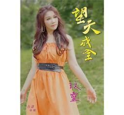 合友唱片 瞞天大佈局 全新正版 DVD 克里斯汀貝爾 美國騙局 American Hustle 面交 自取 歷史價格詳細信息