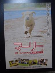 《歐美電影》我和我的小鬼們◎弗朗索瓦&middot;貝戈多※市售版※非出租用【頭大大-DVD】九11◎FU2 歷史價格詳細信息