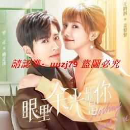 現貨隨身碟《你給我的喜歡》u盤高清電視劇王子奇王玉雯 歷史價格詳細信息