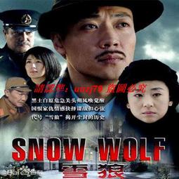 現貨隨身碟優盤U盤【狼牙英雄】37集高清電視劇 孫遜 閻娜 鞏漢林 歷史價格詳細信息