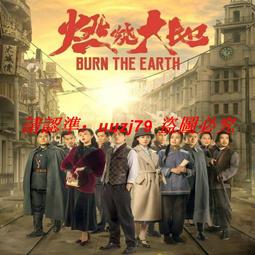 現貨隨身碟【大山的女兒】U盤優盤30集高清電視劇 楊蓉 劉奕君 杜曉帆 歷史價格詳細信息