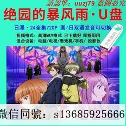 現貨隨身碟【絕地槍王2松花江上的槍聲】U盤優盤43集高清電視劇 徐洪浩 周揚 歷史價格詳細信息