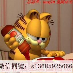 現貨隨身碟貓和老鼠 全集 動漫U盤otg動畫片國語中字157集優盤1080P高清動漫 歷史價格詳細信息