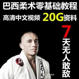 U盤教程自學柔力球基礎柔力球經驗技巧教學實戰演練視頻U盤教程 歷史價格詳細信息