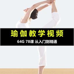 教學瑜伽球 健身球加厚防滑防爆初學者男女普拉提平衡球65cm 歷史價格詳細信息