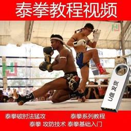 現貨視頻U盤加菲貓277集國語中字動畫片MP4格式電腦優盤480P標清 歷史價格詳細信息