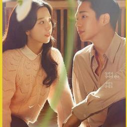 現貨高清優盤U盤《19歲的清純/純情/加油菊花》167集 韓劇電視劇國語 歷史價格詳細信息