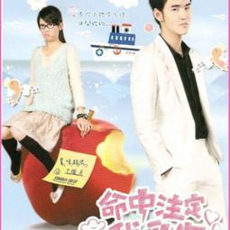 現貨.隨身碟優盤U盤電視劇【請賜我一雙臂膀】藍光1080 優盤36集連續劇視頻無彩盒版 歷史價格詳細信息