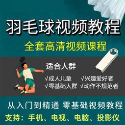 羽毛球自學視頻教程羽毛球零基礎優盤十幾位教練李宇軒陳金課程 歷史價格詳細信息