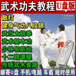 散打視頻教程U盤自由搏擊格斗術實戰技巧散打防身術自學防水U盤版 歷史價格詳細信息