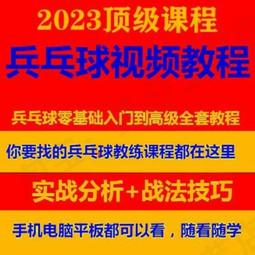 乒乓球拍專業級兵乓球拍單拍1支槍拍異形蘇式直拍橫打 歷史價格詳細信息