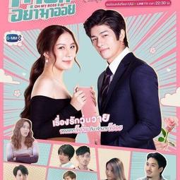 泰蜜造型椅 (大台北免運費)促銷價900元【阿玉的家2024】 歷史價格詳細信息