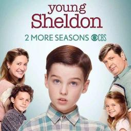 （小謝）6.5/3.5mm/RCA雙蓮花頭公轉rca公母對母功放電鋼琴音響電音箱音頻 歷史價格詳細信息