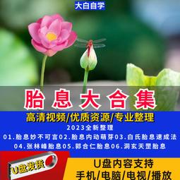 現貨林峰演唱會全集(含峰情無限等五場)高清1080車載視頻U盤 歷史價格詳細信息