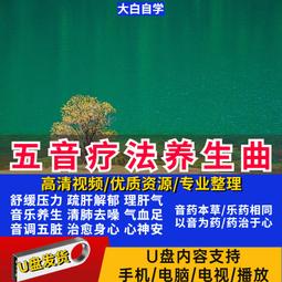 【現貨】舒療釋壓枕 頸椎伸展器 頸椎按摩器 3管3層 全絨氣囊枕 充氣頸椎牽引器 旅行枕 充氣頸枕頸架鬆 禮物 歷史價格詳細信息