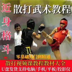 散打視頻教程U盤自由搏擊格斗術實戰技巧散打防身術自學防水U盤版 歷史價格詳細信息