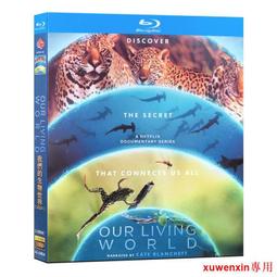 藍光BD  我的英雄學院：兩位英雄 我的英雄學院劇場版：2人的英雄 日本動畫  257-004 歷史價格詳細信息