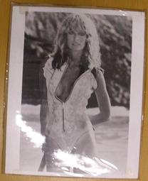 霹靂嬌娃1+2 DVD 出租版 劉玉玲 茱莉亞羅勃茲 卡麥蓉狄亞 主演 590600000465 再生工場02 歷史價格詳細信息