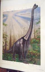 （進口夜光限定版正品）Funko Pop電影提姆波頓魔境夢遊：柴郡貓Cheshire Cat夜光獨家限定版 歷史價格詳細信息