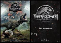 霍電影G拼裝獅子1028魔法巫師沃茲棋盤哈利波特牌玩具小顆粒積木 歷史價格詳細信息